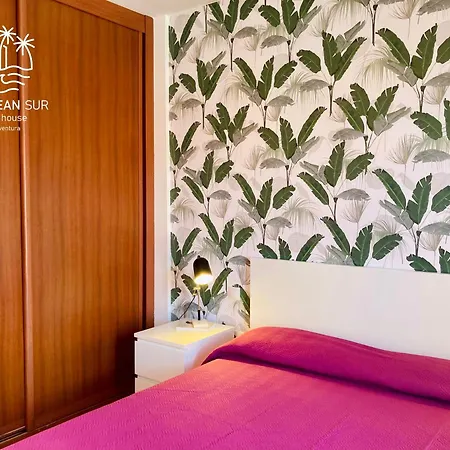 The Ocean Sur House Holiday home *